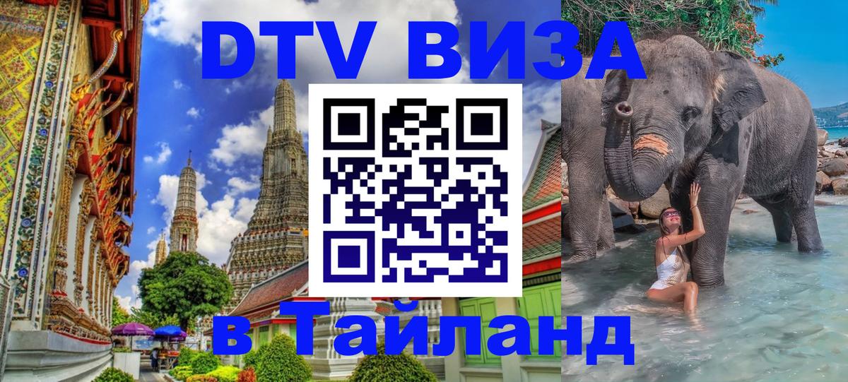 Сколько стоит DTV виза — актуальные цены, оформление даже без документов - Астана  06.12.2025 